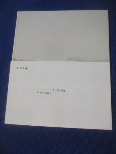 Plossu heure immobile - l'heure,